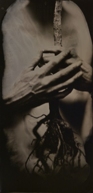 We participated in World Wet Plate Day again this year.  We worked with model and ballet dancer Nicole Bell. We battled the wind and contamination problems early on but we did produce 3 images for the day.